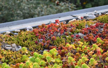 the cost of Rowsham green roof installation